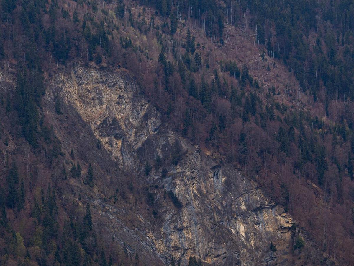 Baerghaesli Im Beo Als Basis Im Wintersportgebiet Lejlighed Gsteigwiler Eksteriør billede